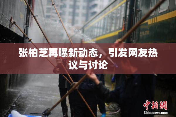 张柏芝再曝新动态，引发网友热议与讨论