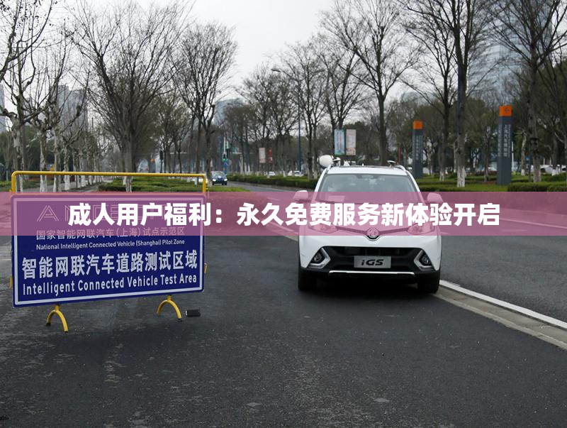 成人用户福利：永久免费服务新体验开启