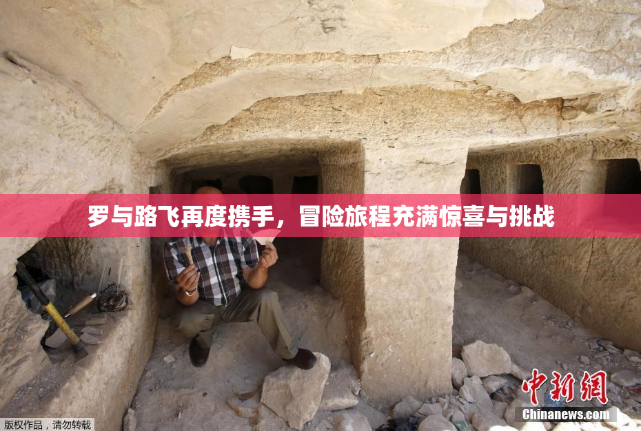 罗与路飞再度携手，冒险旅程充满惊喜与挑战