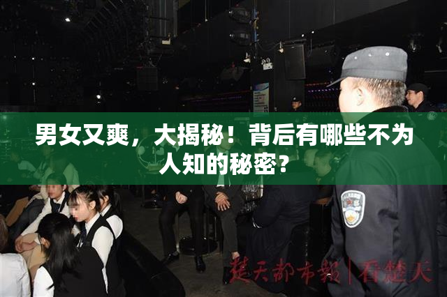 男女又爽，大揭秘！背后有哪些不为人知的秘密？