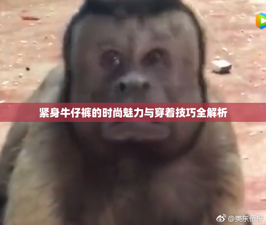 紧身牛仔裤的时尚魅力与穿着技巧全解析