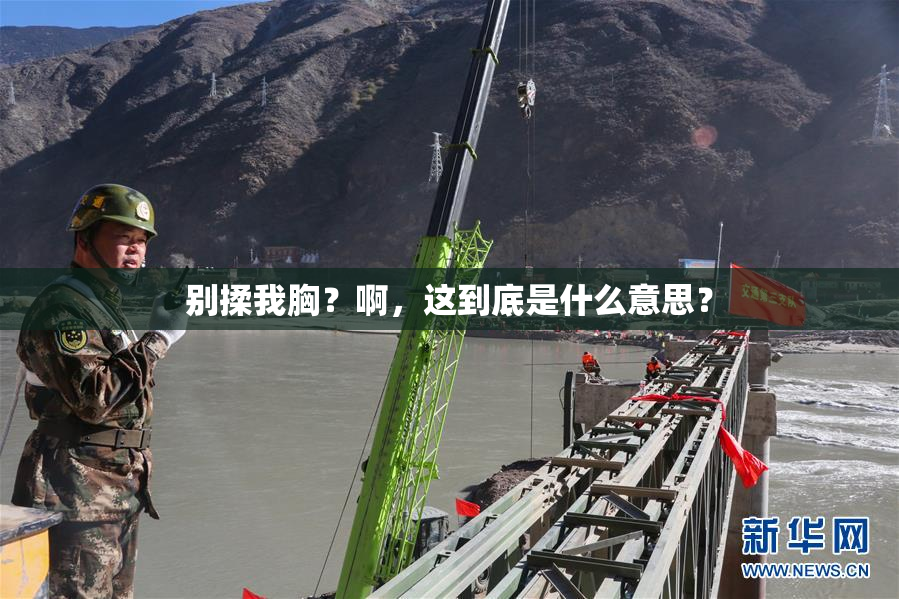 别揉我胸？啊，这到底是什么意思？