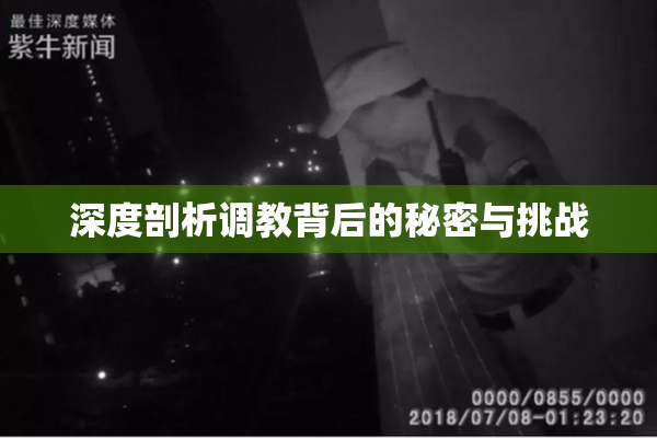 深度剖析调教背后的秘密与挑战