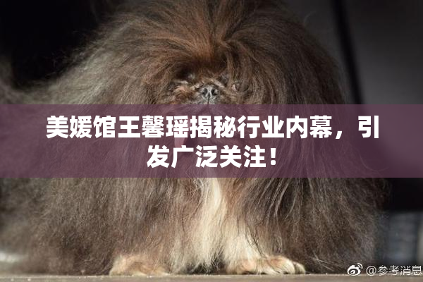 美媛馆王馨瑶揭秘行业内幕，引发广泛关注！