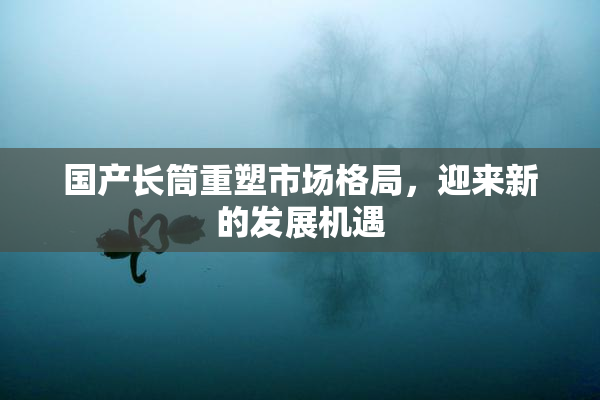 国产长筒重塑市场格局，迎来新的发展机遇