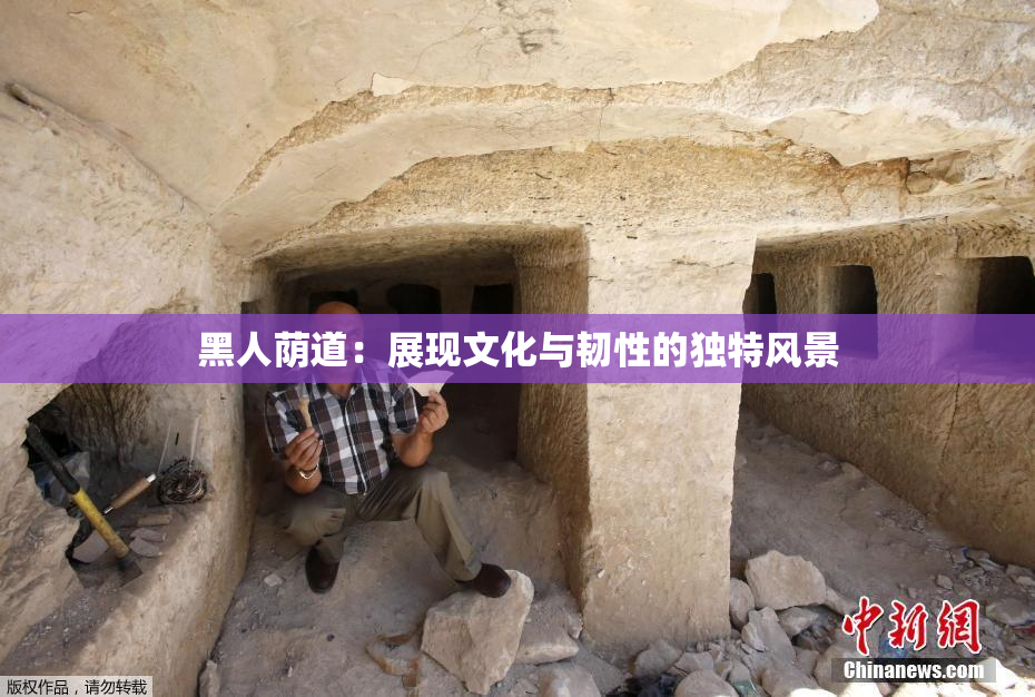 黑人荫道：展现文化与韧性的独特风景