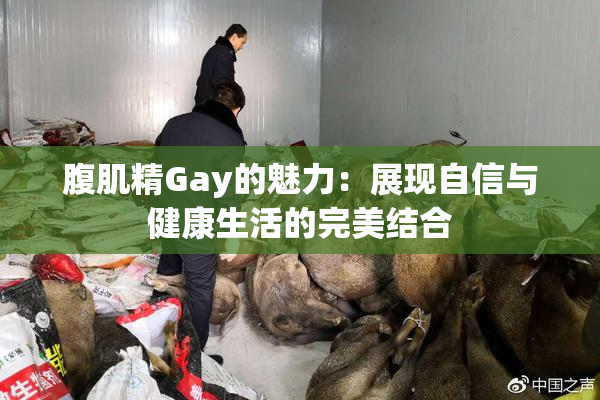 腹肌精Gay的魅力：展现自信与健康生活的完美结合
