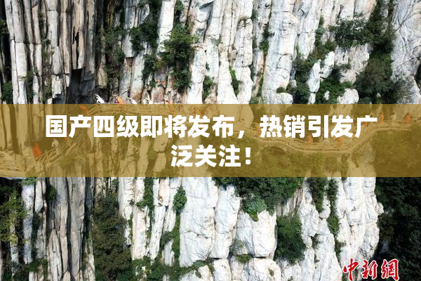 国产四级即将发布，热销引发广泛关注！