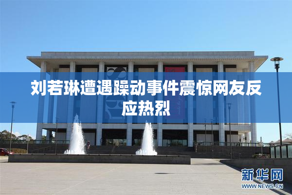 刘若琳遭遇躁动事件震惊网友反应热烈