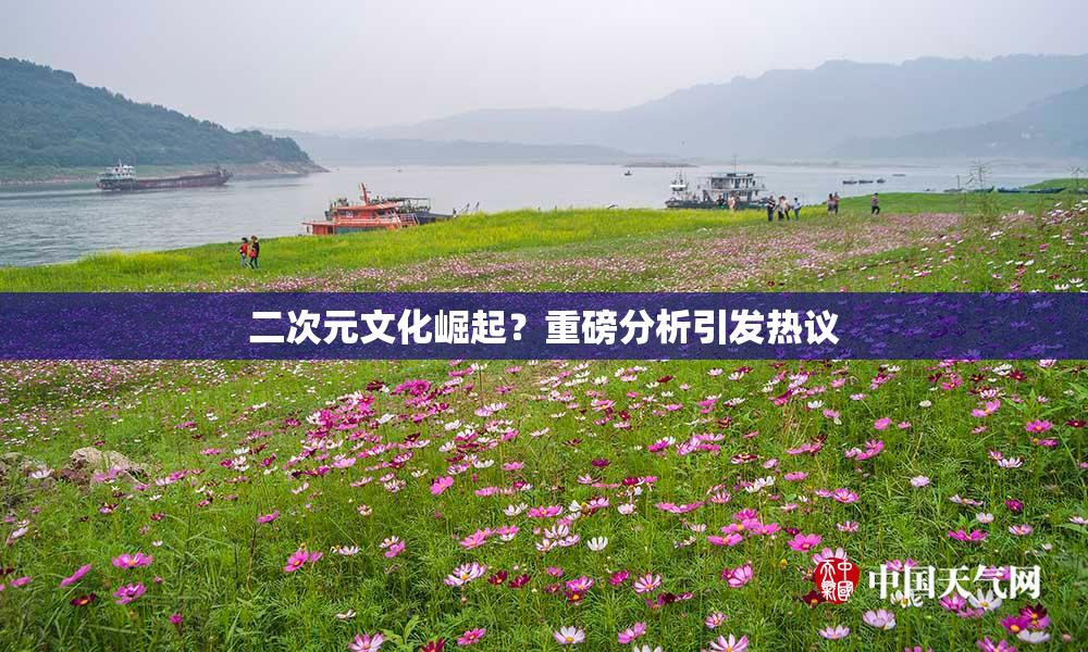 二次元文化崛起？重磅分析引发热议