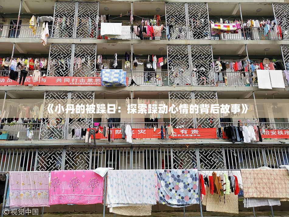 《小丹的被躁日：探索躁动心情的背后故事》