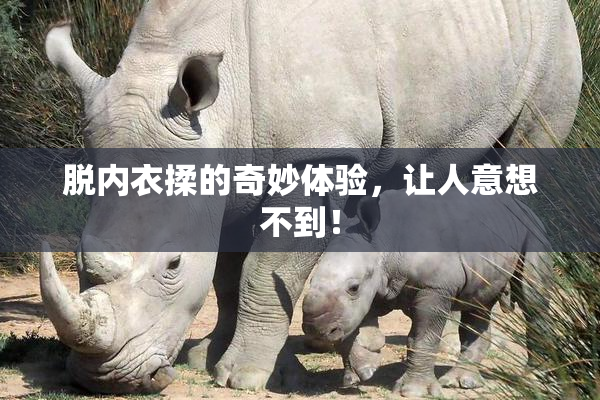 脱内衣揉的奇妙体验，让人意想不到！