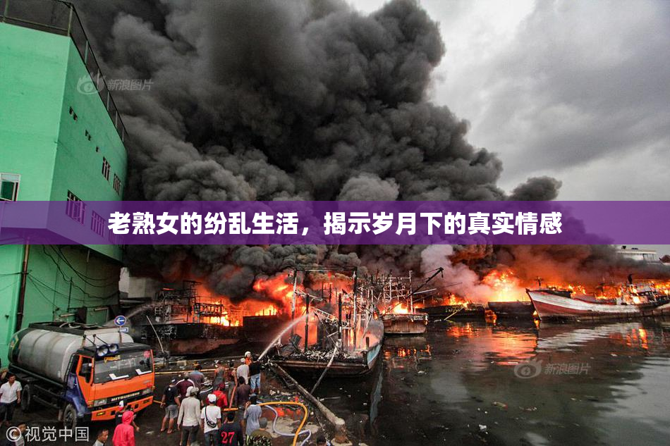 老熟女的纷乱生活，揭示岁月下的真实情感