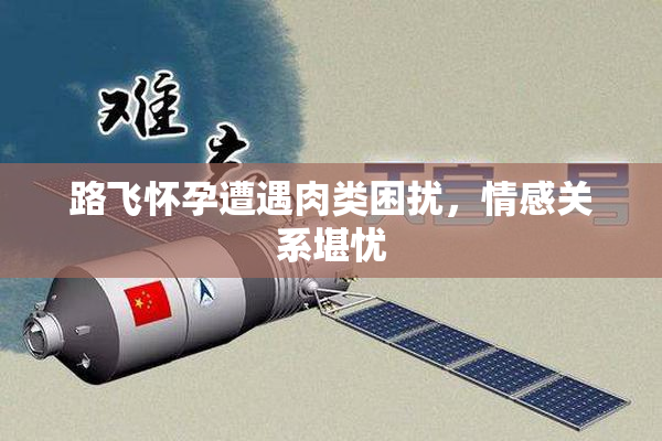 路飞怀孕遭遇肉类困扰，情感关系堪忧