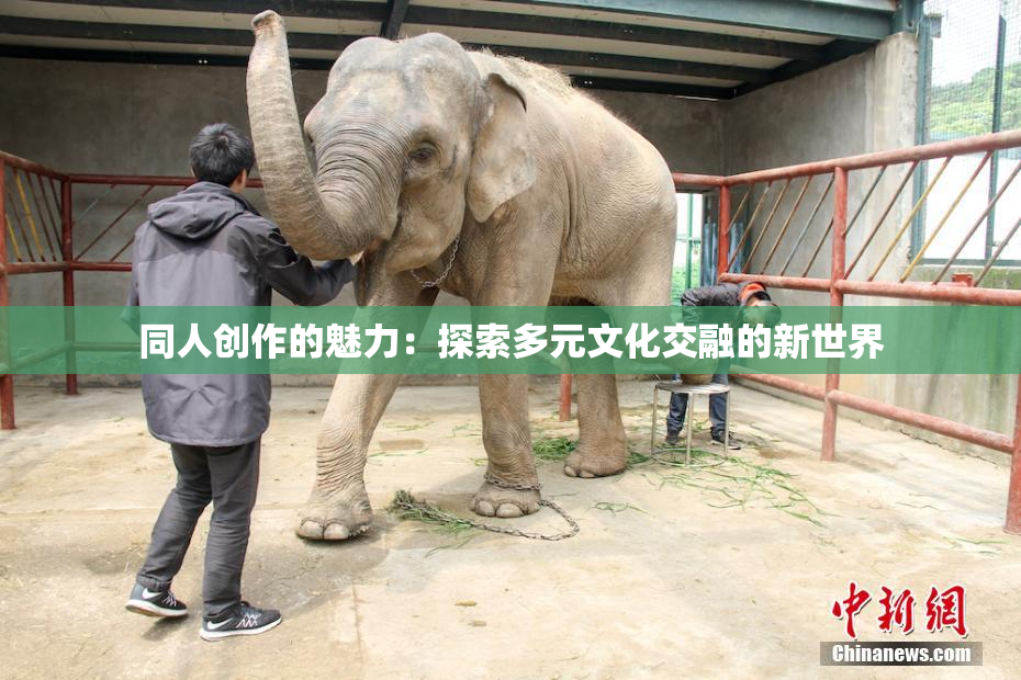 同人创作的魅力：探索多元文化交融的新世界