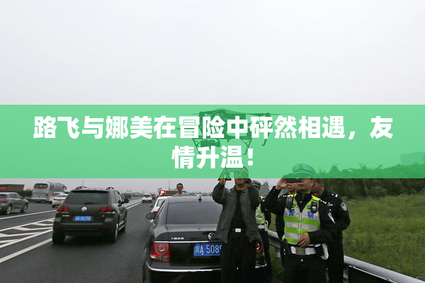 路飞与娜美在冒险中砰然相遇，友情升温！