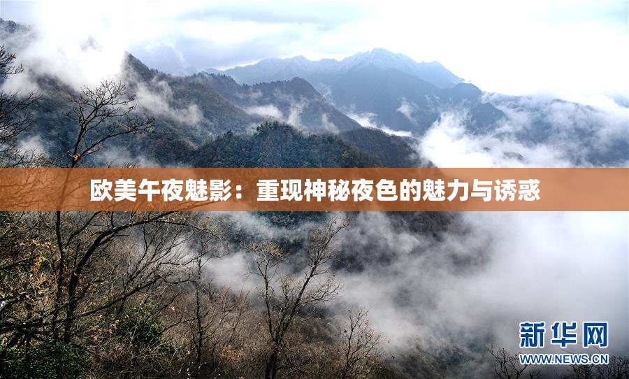 欧美午夜魅影：重现神秘夜色的魅力与诱惑