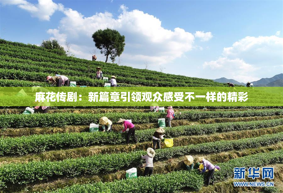 麻花传剧：新篇章引领观众感受不一样的精彩