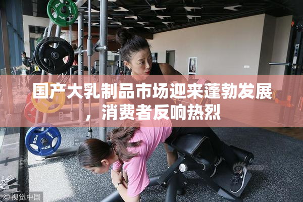 国产大乳制品市场迎来蓬勃发展，消费者反响热烈