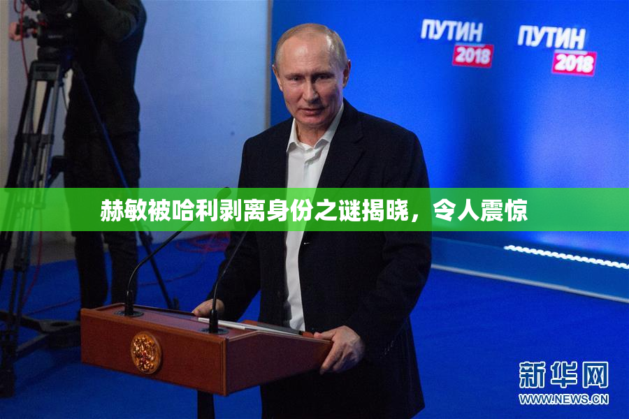赫敏被哈利剥离身份之谜揭晓，令人震惊