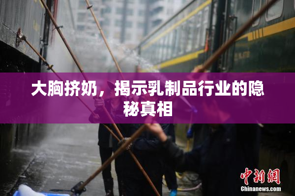 大胸挤奶，揭示乳制品行业的隐秘真相