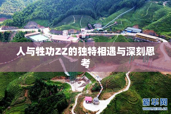 人与牲功ZZ的独特相遇与深刻思考