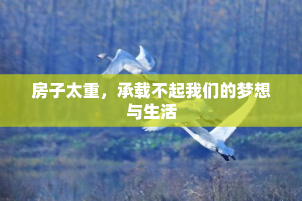 房子太重，承载不起我们的梦想与生活