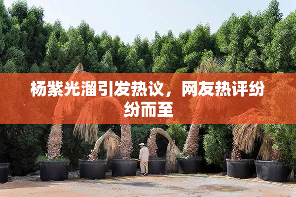 杨紫光溜引发热议，网友热评纷纷而至