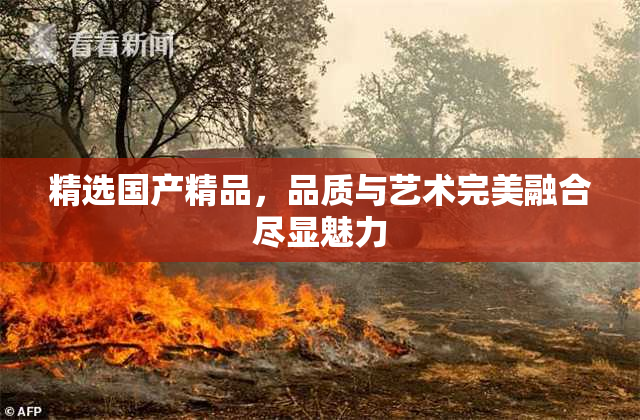 精选国产精品，品质与艺术完美融合尽显魅力