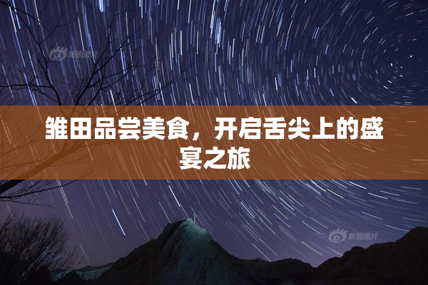 雏田品尝美食，开启舌尖上的盛宴之旅