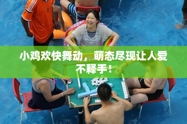 小鸡欢快舞动，萌态尽现让人爱不释手！