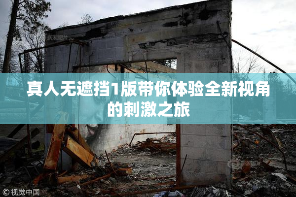 真人无遮挡1版带你体验全新视角的刺激之旅