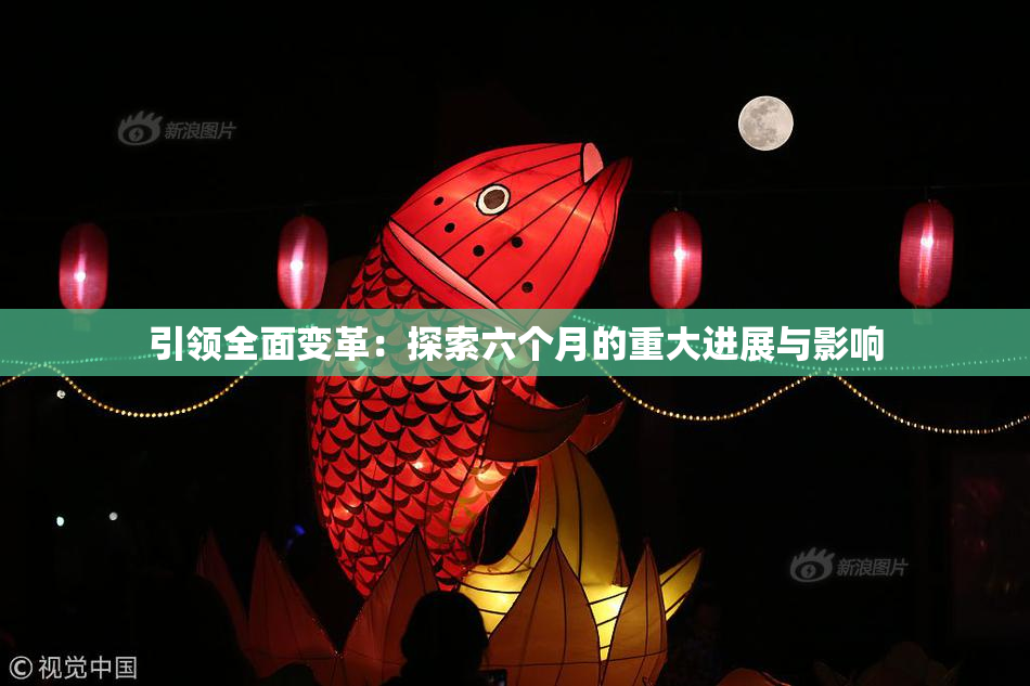 引领全面变革：探索六个月的重大进展与影响