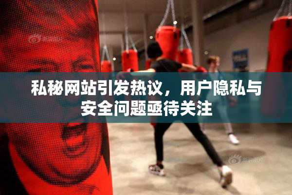 私秘网站引发热议，用户隐私与安全问题亟待关注