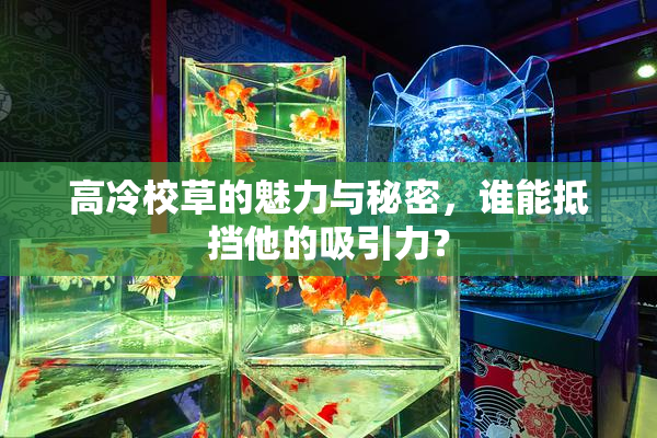 高冷校草的魅力与秘密，谁能抵挡他的吸引力？