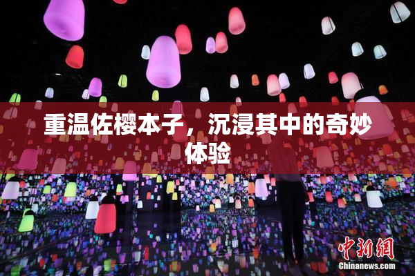 重温佐樱本子，沉浸其中的奇妙体验