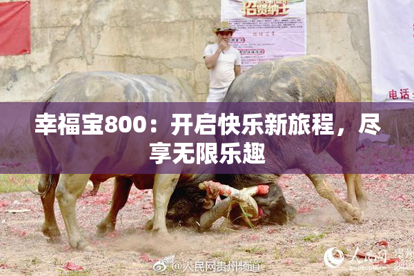 幸福宝800：开启快乐新旅程，尽享无限乐趣