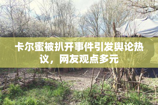 卡尔蜜被扒开事件引发舆论热议，网友观点多元