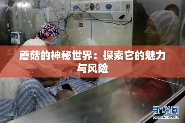 蘑菇的神秘世界：探索它的魅力与风险