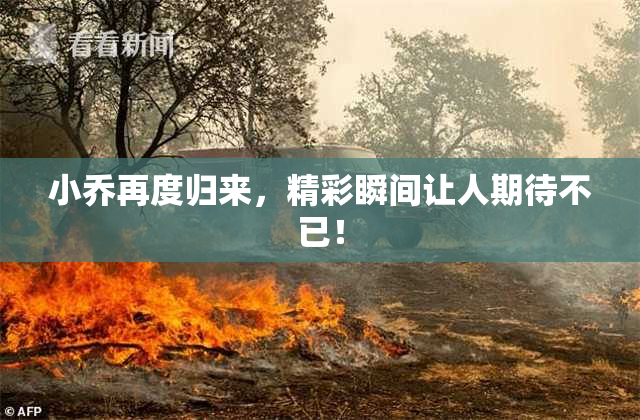 小乔再度归来，精彩瞬间让人期待不已！