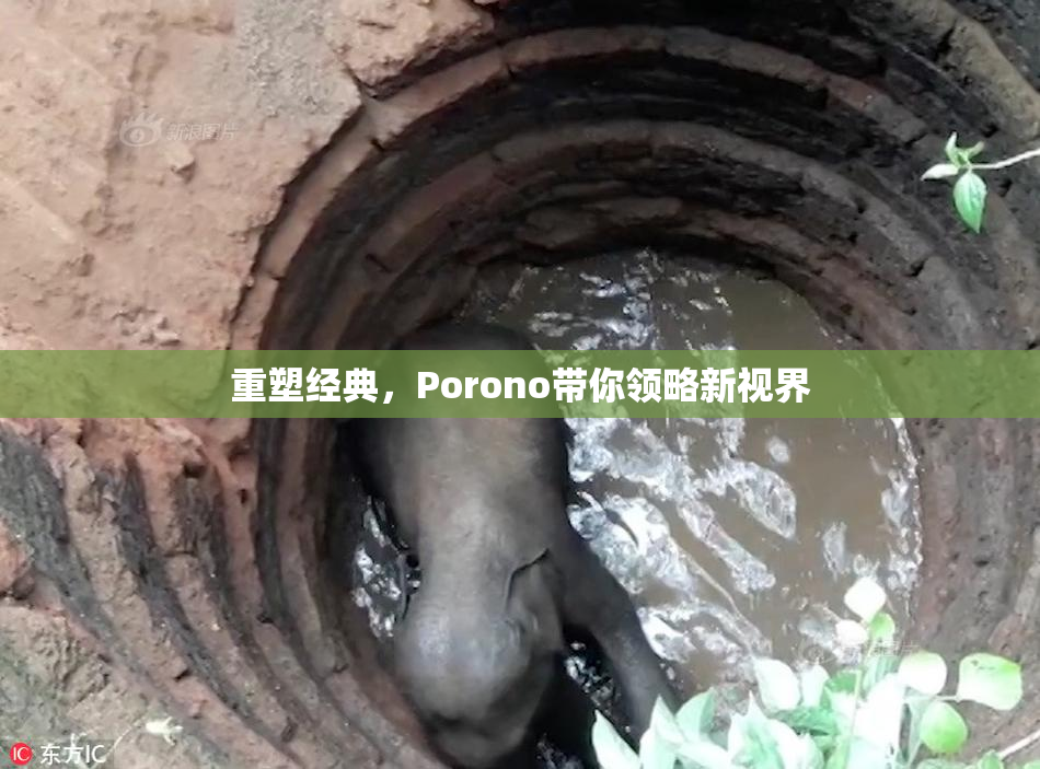 重塑经典，Porono带你领略新视界