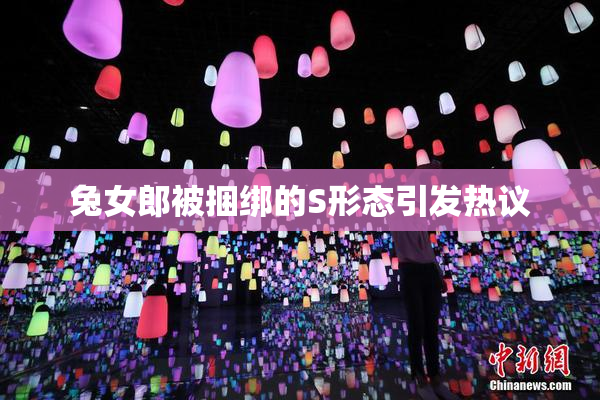 兔女郎被捆绑的S形态引发热议