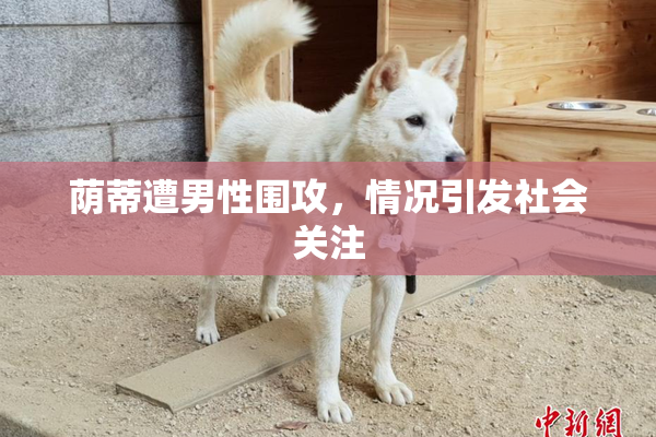 荫蒂遭男性围攻，情况引发社会关注