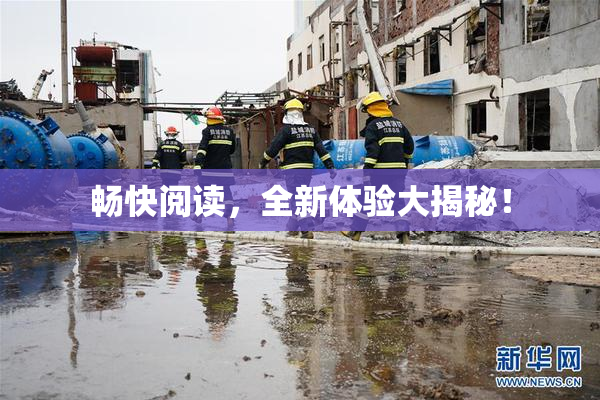 畅快阅读，全新体验大揭秘！
