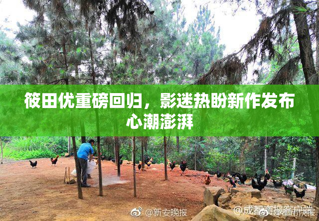 筱田优重磅回归，影迷热盼新作发布心潮澎湃