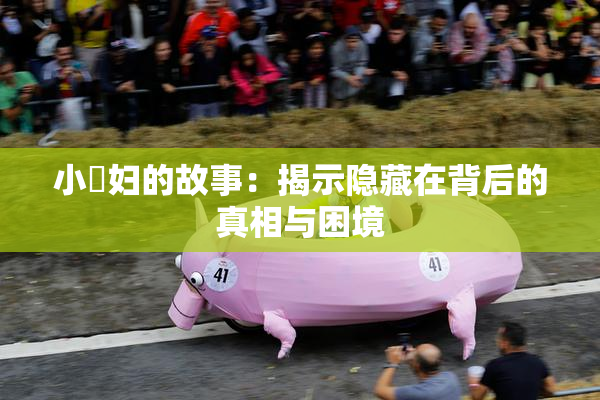 小婬妇的故事：揭示隐藏在背后的真相与困境