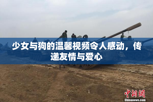 少女与狗的温馨视频令人感动，传递友情与爱心
