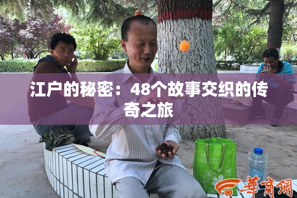 江户的秘密：48个故事交织的传奇之旅