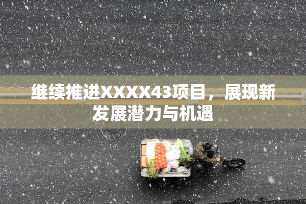 继续推进XXXX43项目，展现新发展潜力与机遇