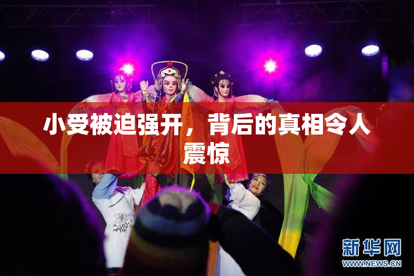 小受被迫强开，背后的真相令人震惊